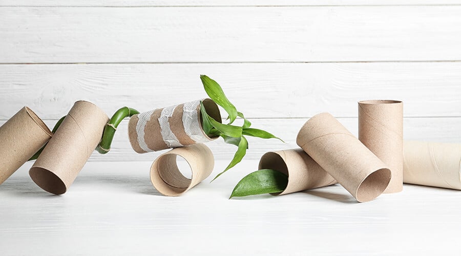 Toilet Rolls With Bamboo Plants Growing Out of Them