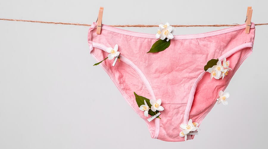 Period-Pants-01 Period Pants 01