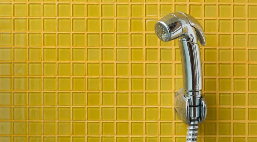 Bidet hose